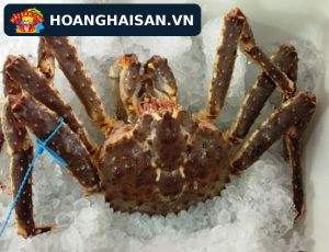 Cua hoàng đế Alaska